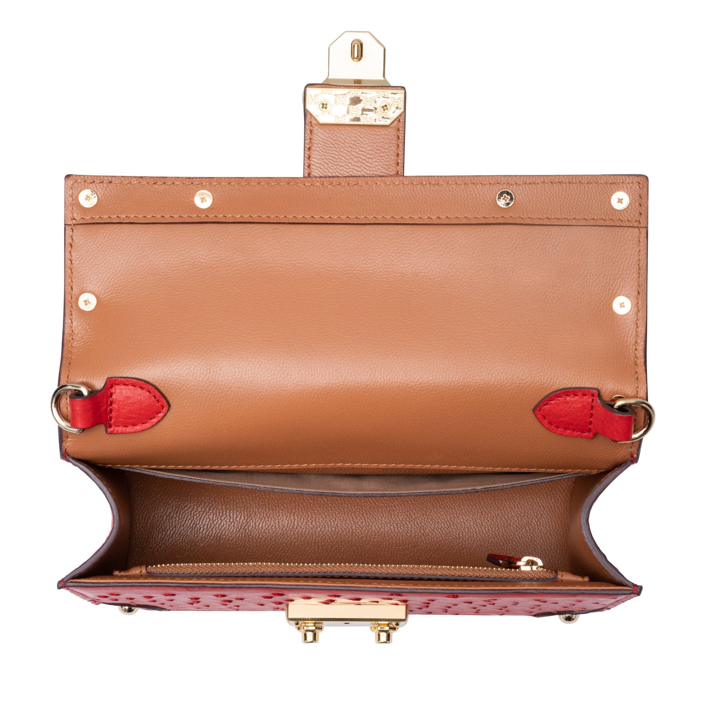 The Alexandria Bag - Ostrich