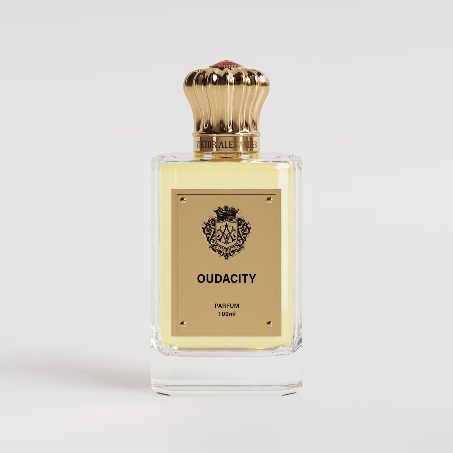 OUDACITY 100ML Parfums