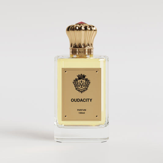 OUDACITY 100ML Parfums